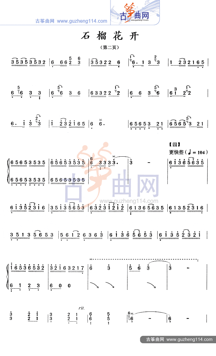 石榴花开