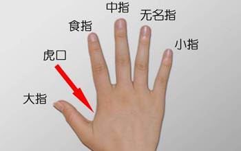 古筝入门教学视频第十课:手的部位名称