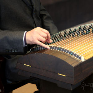 赵曼琴老师为大家讲快速指序2