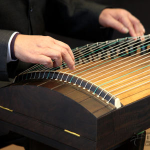 赵曼琴老师为大家讲快速指序3