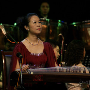 林玲演奏《寒鸦戏水》