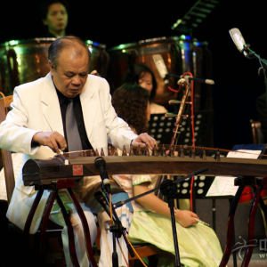 陈安华演奏《出水莲》