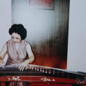 庄辰老师演奏时的风采