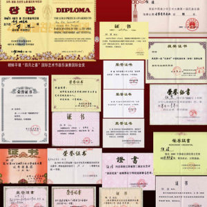 任洁获得的部分证书