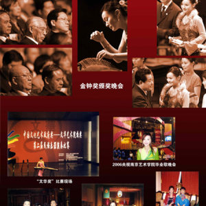 任洁的部分演出资料