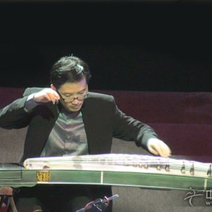 2008樊蔚慈参加扬州会议名家之夜，演奏渔舟唱晚时的风采