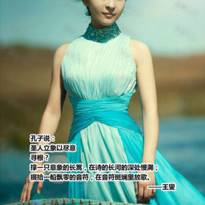 2009年加入中华文化促进会，任古典音乐研究中心秘书,参与其课题组的研究活动。其间参与组织了大型学术项目——“意象”系列研究课题