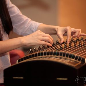 常静在音乐沙龙上为观众演奏《落花飞》等新曲