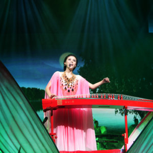 张晓棠参加“大地情深”——辽宁省文化艺术节专场晚会时的风采