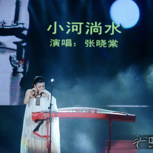 张晓棠参加“2012年星光盛典扬州演唱会”时的风采