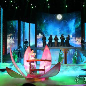 张晓棠参加公安厅春晚时的风采