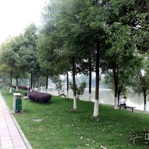 四川音乐学院周边的景色(新都校区)