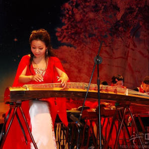 袁莎演奏时的风采