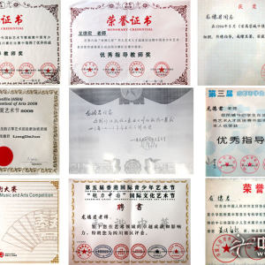 龙德君的部分成就