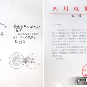 龙德君的部分成就