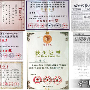龙德君的部分成就