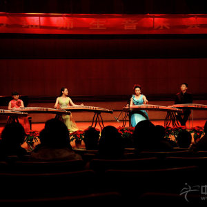 音乐会练习曲集锦《飞花点翠》