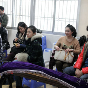 参加第一期筝赢通大会——“1+1”古筝基础教学法研讨会的会员观摩百家筝鸣样板课时的风采