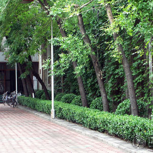 天津音乐学院北校区的音乐厅