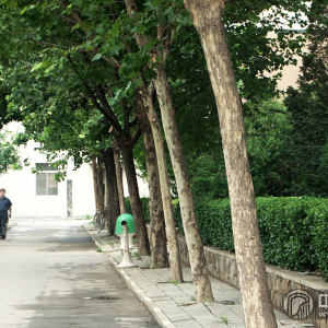 天津音乐学院北校区一角