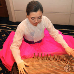 伽倻琴的种类大体可分为“正乐伽倻琴”（古制伽倻琴）、“散调伽倻琴”、现代用的“21弦伽倻琴”等三种。现代伽倻琴除了二十一弦，还有二十三弦、二十五弦等。（图为25弦伽倻琴）