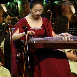 林玲演奏《寒鸦戏水》时的风采。 