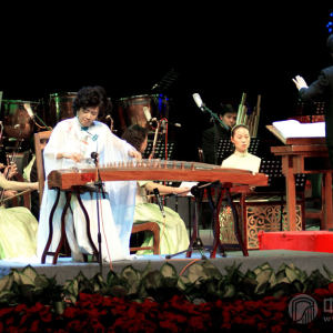 周望演奏《秦桑曲》时的风采。