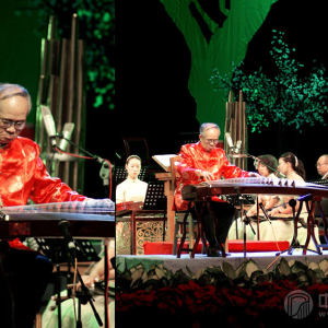 周延甲独奏《秋夜筝》时的风采。