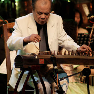 陈安华演奏《出水莲》时的风采。