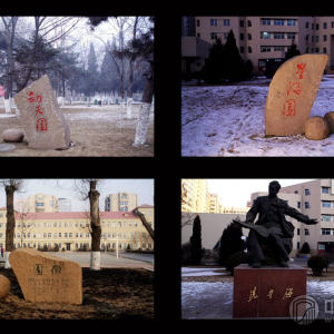 沈阳音乐学院校园风光一角