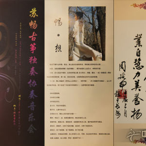 苏畅的部分成就。