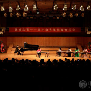 当王中山与王艳、蔡珊珊、魏圩、杨艳、计璐（伴奏）等人共同演奏《夜深沉》时，将整场音乐会推向高潮。 