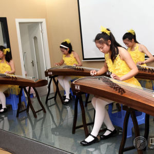 百家筝鸣的小学员弹奏《采蘑菇的小姑娘》时的风采。