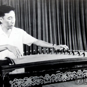 1962-1982期间，史兆元担任中央歌舞团古筝演奏员。