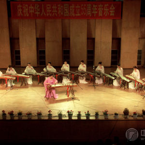 2004年，杨娜妮参加庆祝中国成立55周年音乐会。