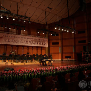 江澹曦老师演奏《陈杏元和番》时的风采。
