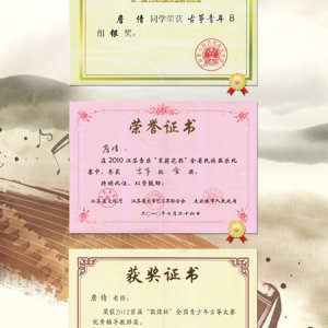 詹倩获得的部分奖项及证书。