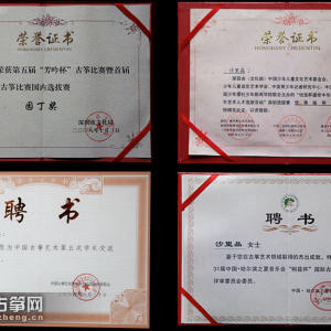 沙里晶获得的部门成就。