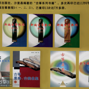 沙里晶录制出版的部分音像制品。