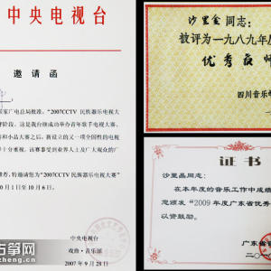 沙里晶获得的部门成就。