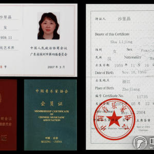 沙里晶获得的部门成就。