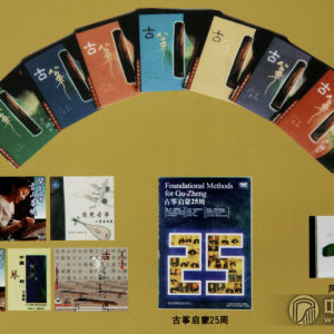 沙里晶录制出版的部分音像制品。