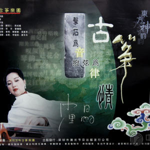 沙里晶录制出版的部分音像制品。