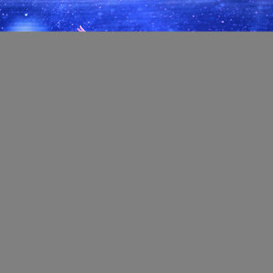 第一篇章《竹·月色》    男高音独唱《我像雪花天上来》    演唱：夏炎    伴舞：扬州市总商会歌舞团