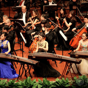 王中山领衔合奏《望秦川》