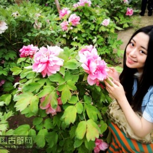 2014CCTV新十大青年古筝演奏家——崔晓彤