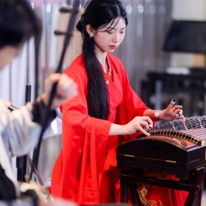 民乐琴搭子最适配的古<font style=