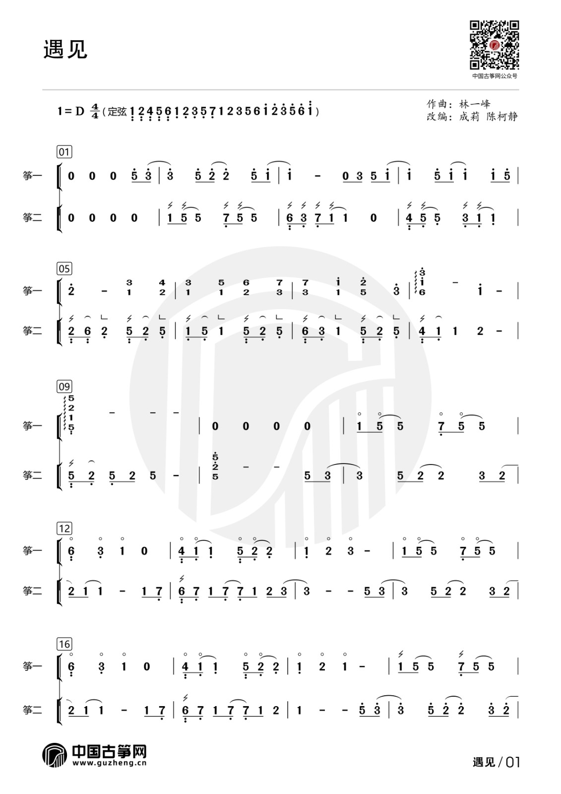 流行古筝曲：《遇见》