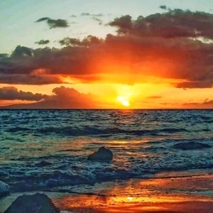 “筝”将<font style=