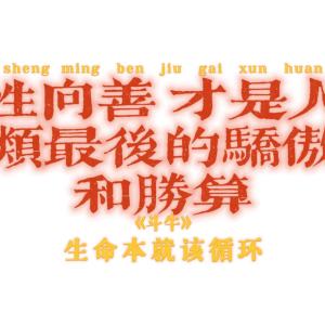 《扒曲系列》